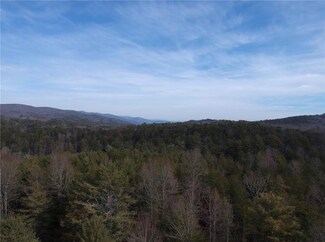 00-C Village Creek Rd, Mountain  Rest, SC 29664
