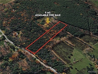 0 Bruce Porn Rd, Gilboa, NY 12076