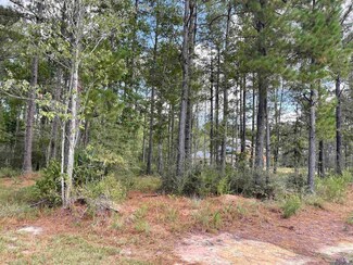 25907 Clyde Blount Rd, Livingston, LA 70754