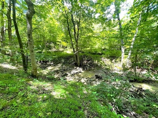 0 Lenoxburg Foster Rd, Foster, KY 41043