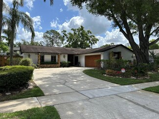 4006 Dellbrook Dr, Tampa, FL 33624