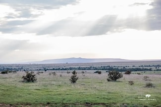 0 Tbd Whiting Rd, Roy, NM 87743