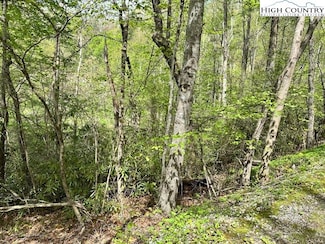 136 Ivy Rd, Newland, NC 28657