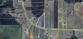 Tract 3 Williams Cir, Elko, GA 31025