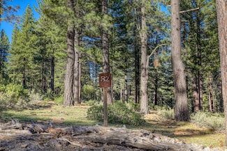 10576 Brickell Ct, Truckee, CA 96161