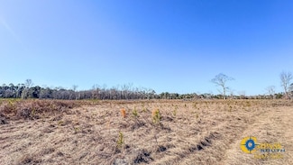R L Lee Rd, Statesboro, GA 30461