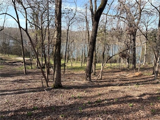 Tract 61 Horseshoe Ln, Rogers, AR 72756