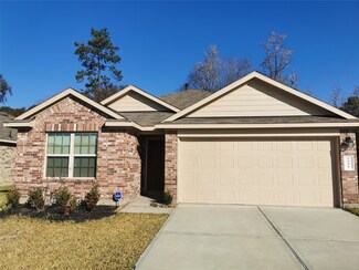 9906 Berlandier Ash Ln, Tomball, TX 77375