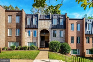 5049 7th Rd S Unit 202, Arlington, VA 22204