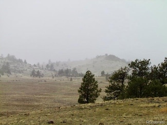 0 TBD Chicha Rd, Hartsel, CO 80449