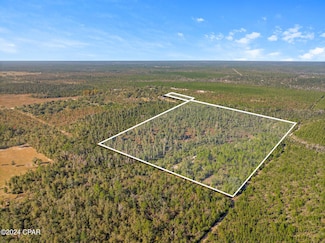 TBD NW Cr-274, Altha, FL 32421