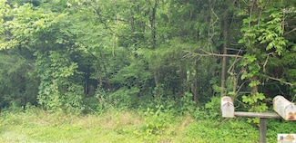 0 Mount Vernon Rd, Bonnieville, KY 42713
