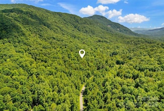0 Buffalo Creek Rd Unit CAR4155198, Lake Lure, NC 28746