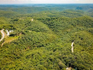 000 Coyote Ridge Rd, Flat Creek Township, MO 65625