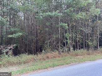 0 Hwy 101 and Dean Rd Unit 10620814, Aragon, GA 30104