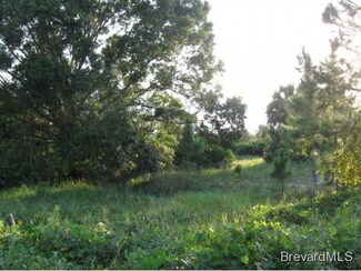 0 87th St Unit 654236, Fellsmere, FL 32948