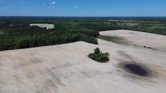 0000 Burnell Rd, Estill, SC 29918