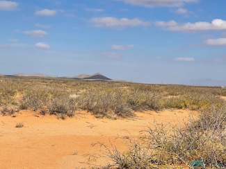0 Dripper Ranch Rd NW, Deming, NM 88030