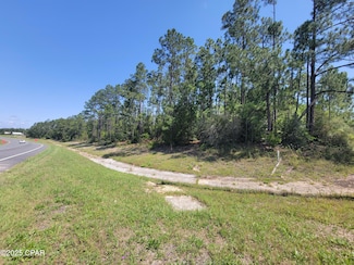 TBD U S 231, Alford, FL 32420