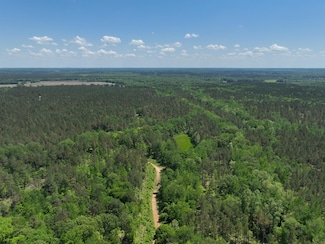 County Road 409, Rienzi, MS 38865