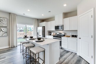 11100 Balsam Pointe Trail, Dayton, MN 55327