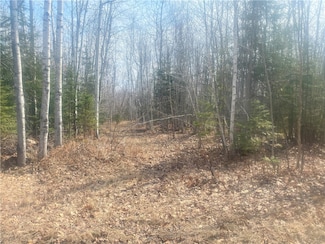 TBD Old 13 Rd, Herbster, WI 54844