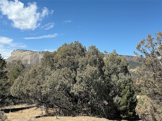 TBD Juniper Ln, Los Ojos, NM 87551