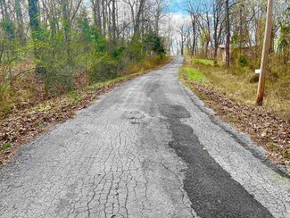 0 Nokomis and Coweta Dr Unit 24037280, Cherokee Village, AR 72513