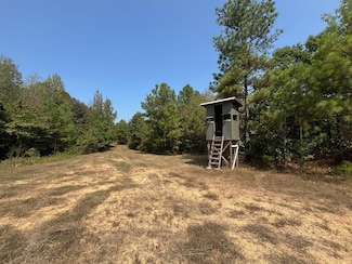 211 Little House Rd, Camden, TN 38320