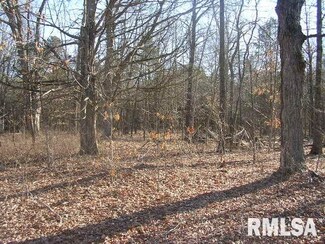0000 Mckinley Ln, Ozark, IL 62972