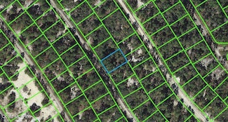 523 Dreamland Dr, Lake Placid, FL 33852