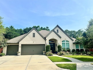 25202 Azel Shore Ct, Porter, TX 77365