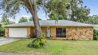 813 Benninger Dr, Brandon, FL 33510
