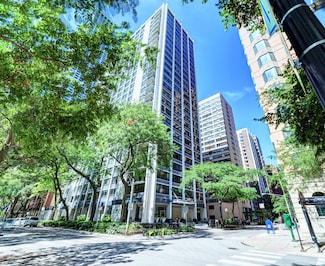 222 E Pearson St Unit 2406, Chicago, IL 60611