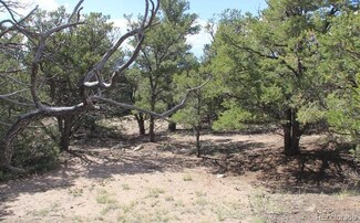 4362 W Celestial Oval, Crestone, CO 81131