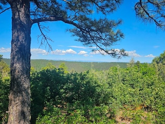 0 Big Springs Overlook, Trinidad, CO 81082