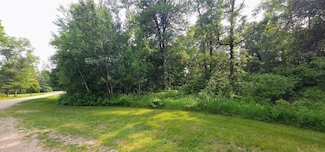 L2 B1 Josh Ct, Pequot Lakes, MN 56472