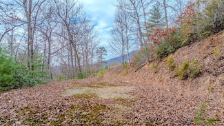 Lot 5 Cliff Dalrymple Rd, Franklin, NC 28734