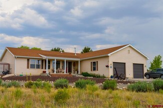 0 Redlands Mesa Rd Unit 746857, Hotchkiss, CO 81419