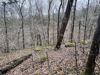 0 Patton Hollow Rd Unit RTC2898132, Watertown, TN 37184