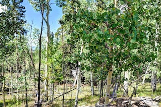 266 Timberline Dr, Guffey, CO 80820