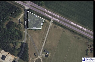 TBD Clarence Coker Hwy, Turbeville, SC 29162