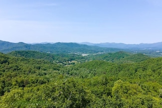 321 Enchanted Mountain Cove, Franklin, NC 28734