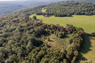 22132 Ray Wc 4425 Rd, Natural Dam, AR 72948