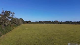 Tract 1-B Old U S 51, Montpelier, LA 70422