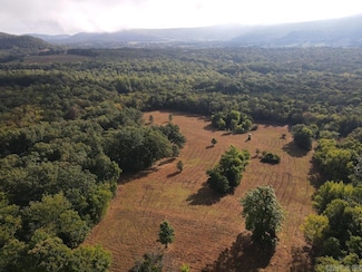 0 Lick Fork Rd Unit 25036132, Marshall, AR 72650