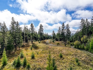 Nhn Buffalo Ln, Somers, MT 59932