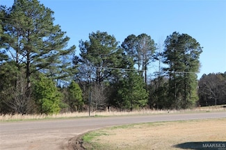 5186 Al Highway 22 Hwy, Valley Grande, AL 36703