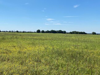 TBD Cr 296, Carbon, TX 76435