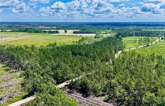 TRACT 1 Bennett Mill Pond Rd, Odum, GA 31555